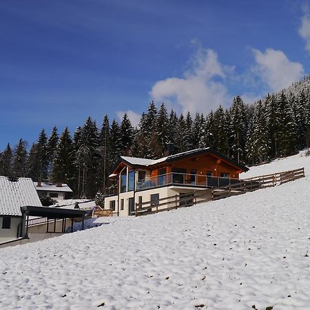 Austrian Alpine Apartments Ramsau am Dachstein Dış mekan fotoğraf