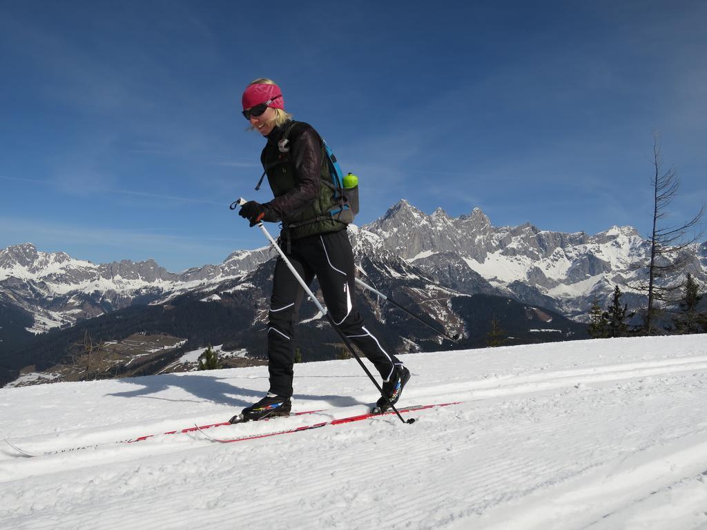 Austrian Alpine Apartments Ramsau am Dachstein Dış mekan fotoğraf