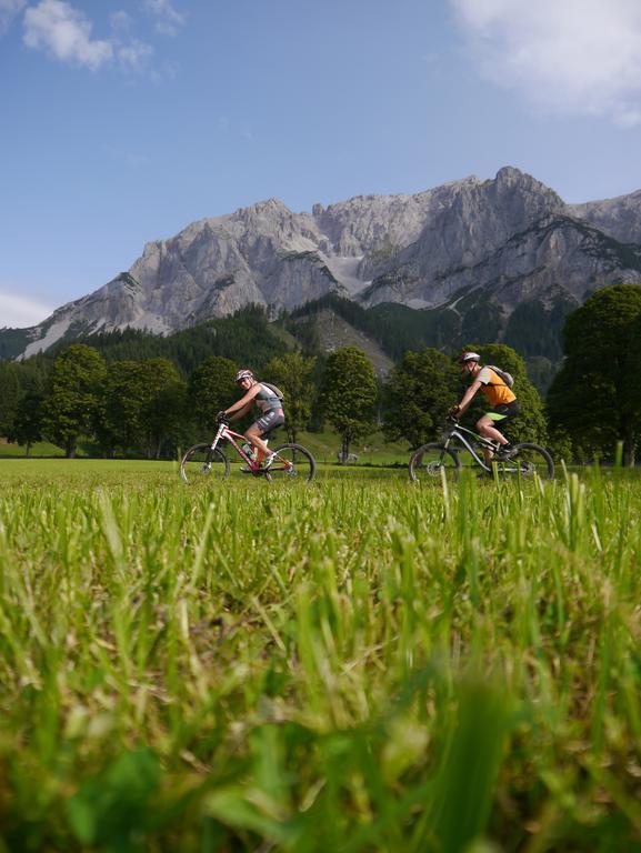 Austrian Alpine Apartments Ramsau am Dachstein Dış mekan fotoğraf