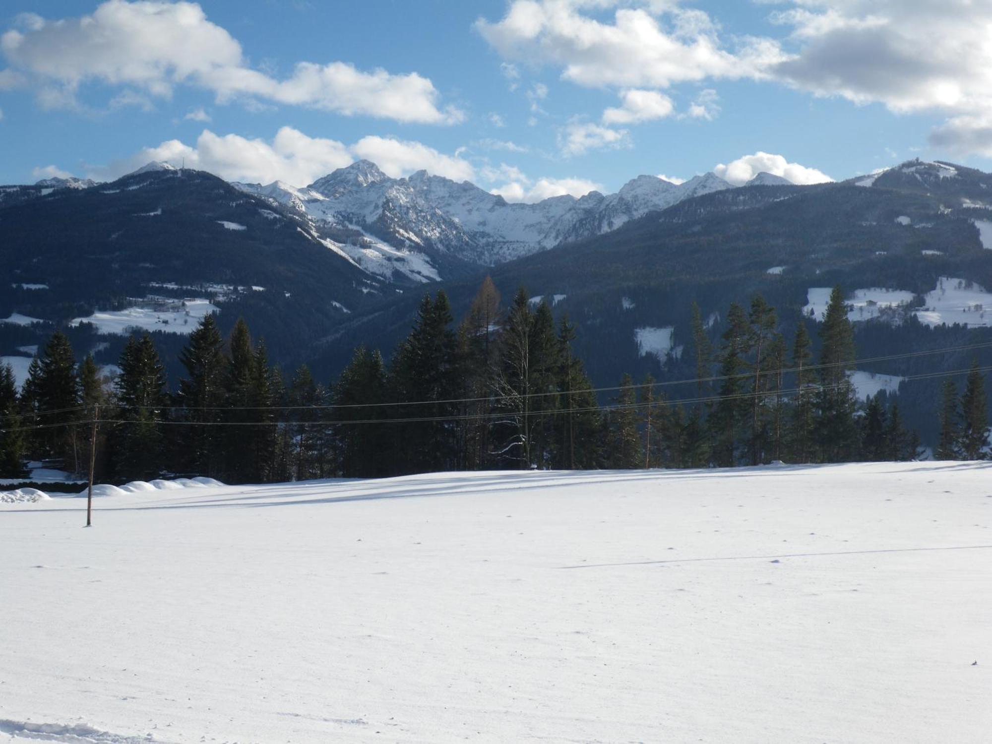 Austrian Alpine Apartments Ramsau am Dachstein Dış mekan fotoğraf