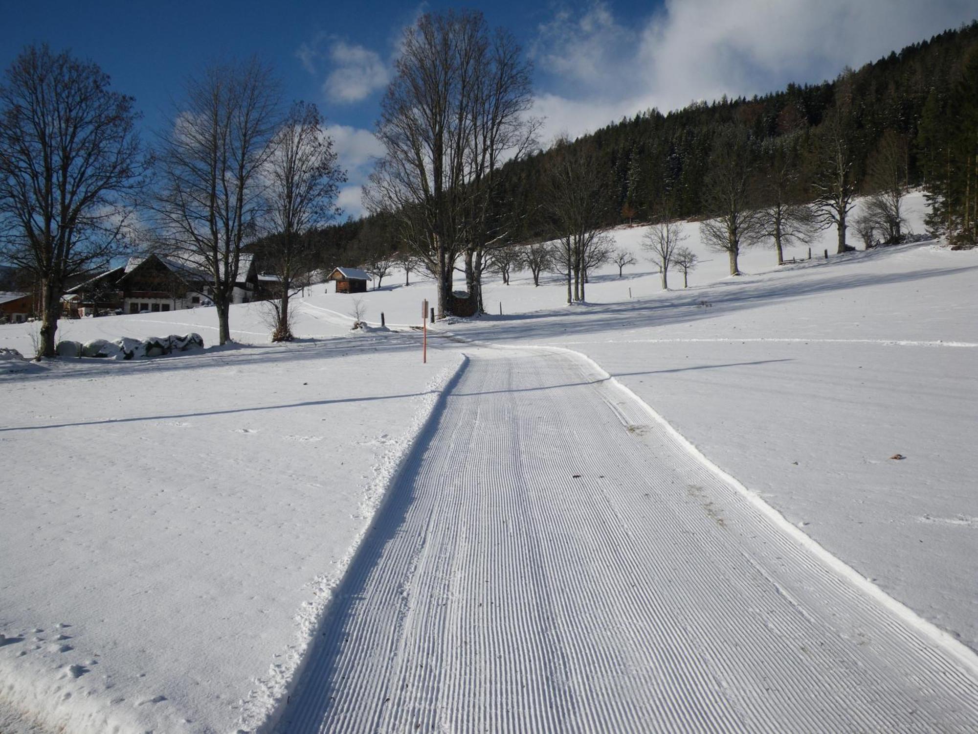 Austrian Alpine Apartments Ramsau am Dachstein Dış mekan fotoğraf